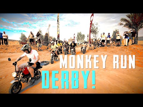 Monkey Run Derby - Morocco