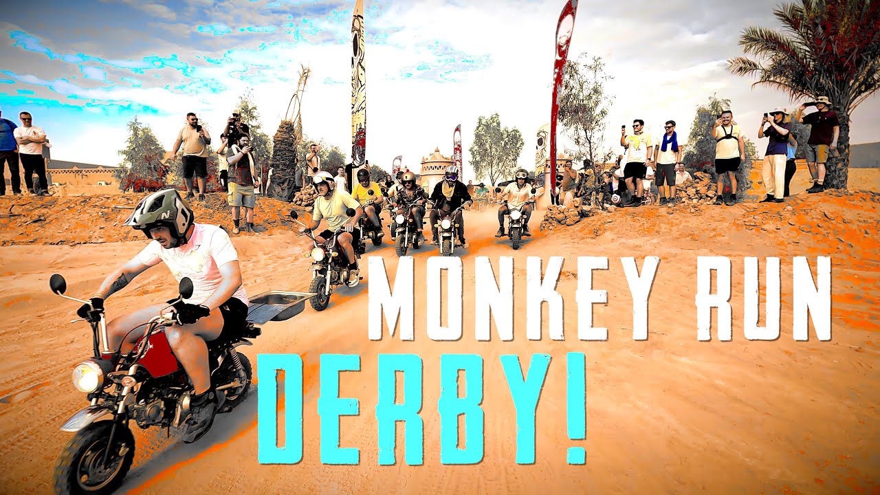 Monkey Run Derby - Morocco