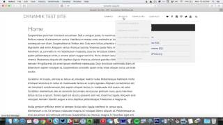 Fixed Header w/ Title, Primary Nav, Social Icons & Search