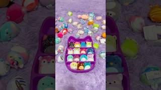Why are we this way 😅 #squishmallows #squishville #shorts