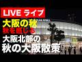 大阪ライブ9月16日大阪の秋夜散策  Osaka Live, September 16: Strolling through an autumn night in Osaka. #京都#散策#大阪のサムネイル