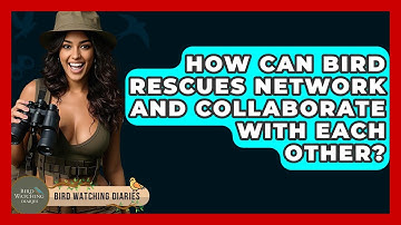 How Can Bird Rescues Network And Collaborate With Each Other? - Bird Watching Diaries