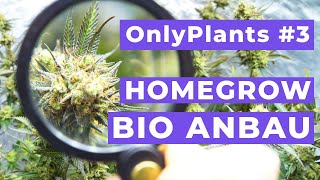 HOMEGROW - Bio-Anbau vom feinsten -  OnlyPlants #3
