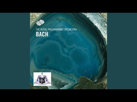 V. Polonaise: Orchestral Suite No. 2 In B Minor, Bwv 1067