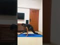 Do it everyday #ytshorts #shorts #shortvideo #yoga #youtube #fitness