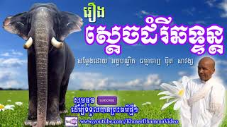 Download lagu រឿង ស្ដេចដំរីឆទ្ទន្ត ប៊ុត សាវង្ស Buth Savong Khmer Dhamma Video រឿង ស្ដេចដំរីឆទ្ទន្ត ប៊ុត សាវង្ស Buth Savong Khmer Dhamma Video