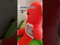 ebamülsüzler 24 bölüm