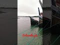 Sada Sada Kala Kala Hawa Movie Song Live At Cox S Bazar Sada Sada Kala Kala Hawa Movie Song Live At Cox S Bazar