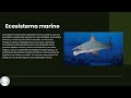 CARBONIFEROS