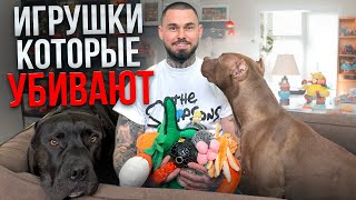 Игрушки для собак! Какие лучше выбрать?