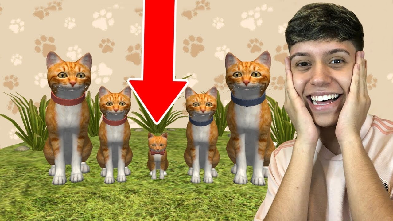 minha última edição profissional de jogo de simulador de gato fofo | animal  de estimação virtual grátis, gato e cachorro vadio, vestir aventura de