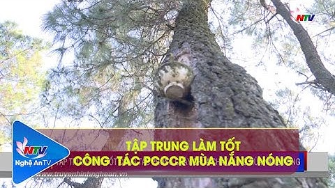 TẬP TRUNG LÀM TỐT CÔNG TÁC PCCCR MÙA NẮNG NÓNG | NGHỆ AN TV