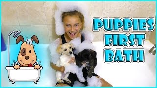 puppies first bath | kids teach mom pokemon go | we are the davises