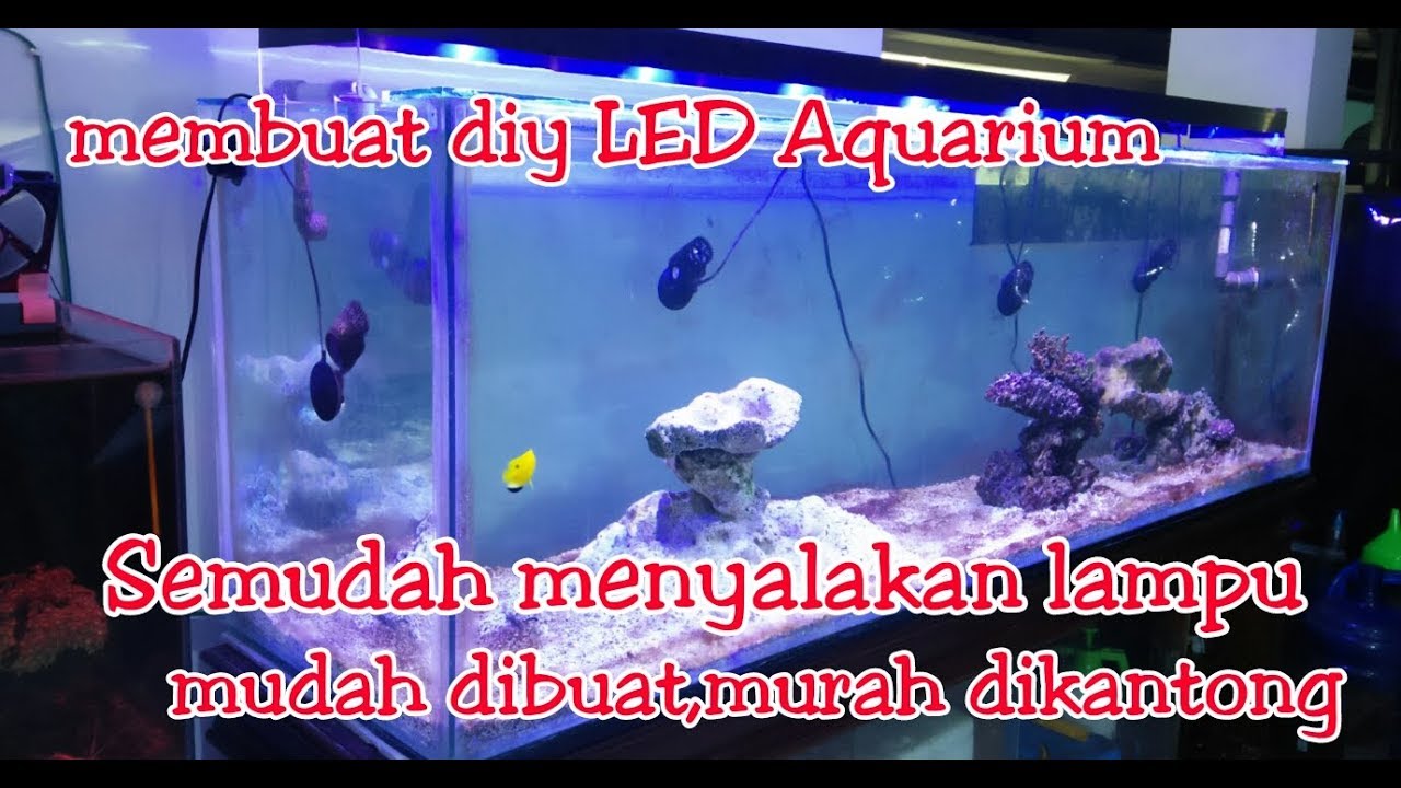 membuat lampu  led  HPL untuk aquascape dan aquarium  laut  