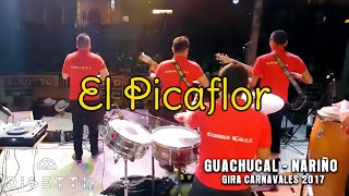 Video thumbnail of "Cumbia Kalle - El Picaflor (Guachucal - Nariño - Carnavales 2017)"