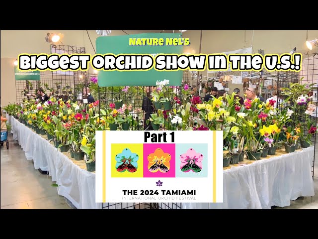 Part 1 of THE GREATEST ORCHID SHOW IN THE U.S. come see more orchids than the eye can handle. class=