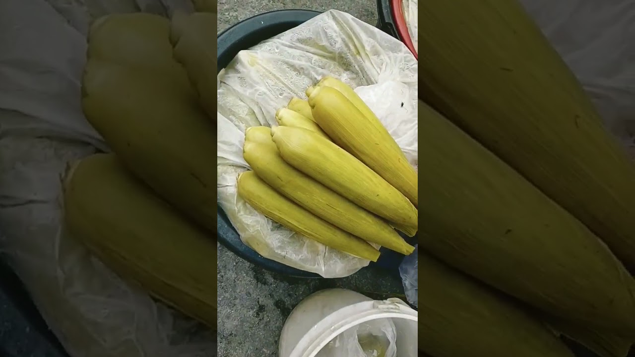 Inanag Mais (Grilled Corn) YouTube