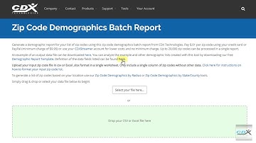 Online Tool for ZIP Code Demographics