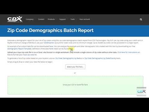 Online Tool for ZIP Code Demographics