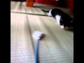ラン アンド ラン