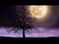 relax with me in the rain 🌧️ ASMR #meditation #thunderstorm #thunder