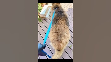 D6- using an undercoat Rake step 2