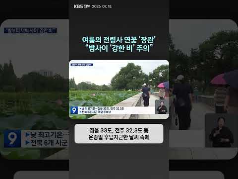 여름의 전령사 연꽃 ‘장관’…“밤사이 ‘강한 비’ 주의” | 자막뉴스