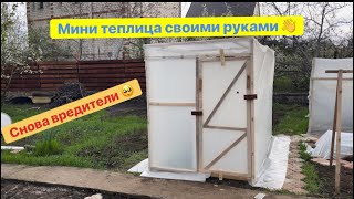 Мини теплица для огурцов своими руками#теплица #рассада #влог