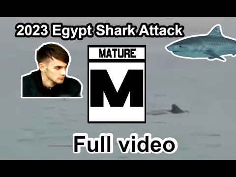 Full Fatal Shark Attack Caught on Camera Egypt 2023 атака акулы  vladimir popov