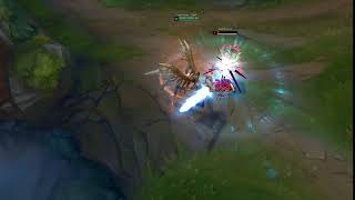 In memory of Aether wing kayle