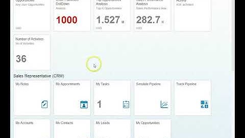 SAP CRM Customer Reports on Fiori based on Hana Live