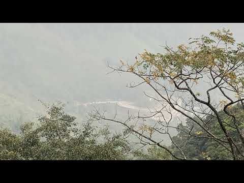 ADWAITH S Live Stream