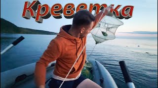 На море с ночёвкой | Креветки на завтрак