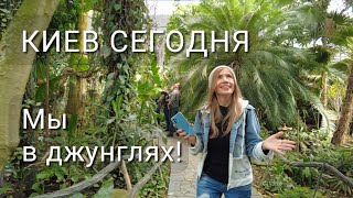 Ботанический сад. Толпы киевлян приехали сюда! Как спастись от депрессии?