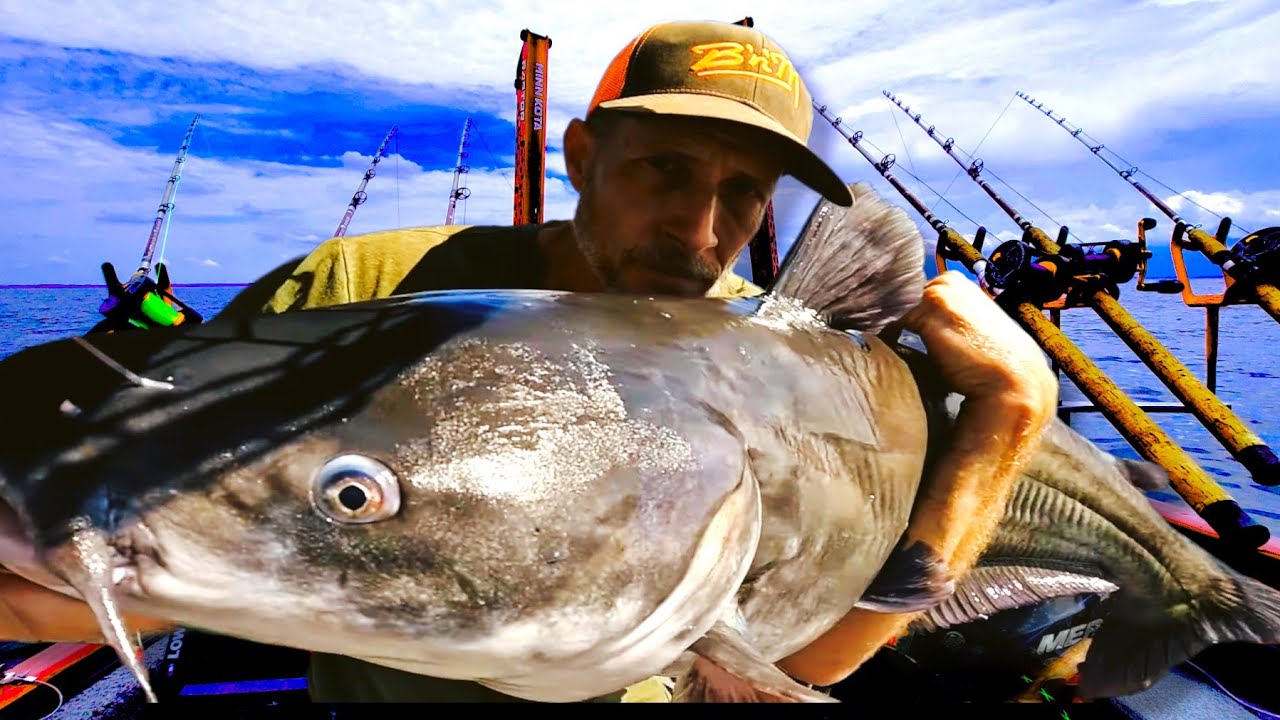 Don't waste your Catfishing trip to Santee Cooper fishing in the