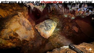 Encuentran un EXTRAÑO ANIMAL dentro de una CUEVA parece un DINOSAURIO en SAN LUIS POTOSÍ 