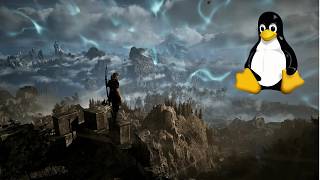 Gothic 1 Remake // Linux // 9070XT - FSR4 - 1080p