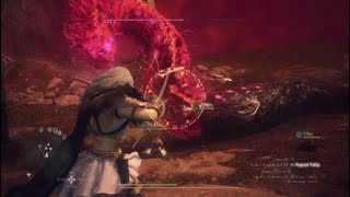 Dragon's Dogma 2 Dope Worm Dragon Fight with Magick Archer Postgame Boss Fight