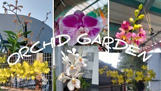 Orchid Garden Tour | Sreekala