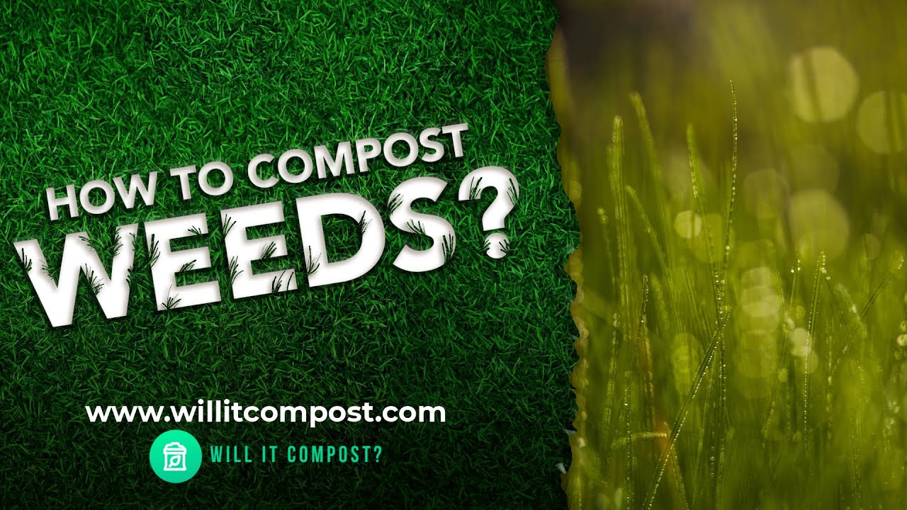How To Compost Weeds? YouTube