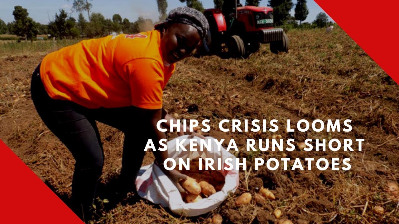 Potato Chip Shortage Is There a Crisis Looming? PlantHD