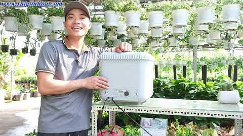 GIẢI PHÁP TƯỚI MÙA HÈ CHO CÂY TRỒNG BAN CÔNG| BÌNH TƯỚI CÂY TỰ ĐỘNG OASIS EVOLUTION