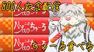 ちゅーる食べ比べ食レポ！？８００人記念配信じゃ！【Vtuber/獅子野トト】