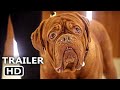 TURNER & HOOCH Trailer (2021) Disney + Series