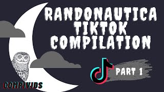 Randonautica TikTok Compilations