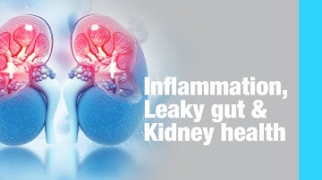 Inflammation, Leaky gut and Kidney health