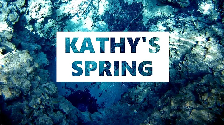 Kathy's Spring: An Unnamed Spring in Florida's Chi...