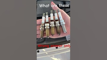 What are these wrong answers only