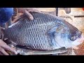 Giant Black Katla Carp Fish Cutting By Expert Fish Cutter | Live Fish Cutting Skills