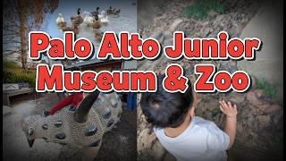 Palo Alto Junior Museum & Zoo - The Castle Brothers